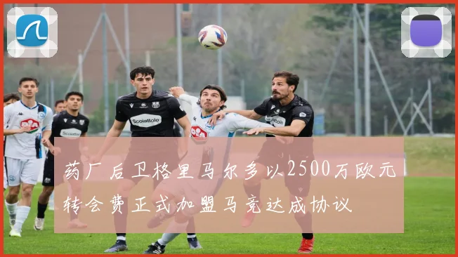 药厂后卫格里马尔多以2500万欧元转会费正式加盟马竞达成协议